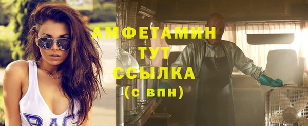 прущие грибы Балахна