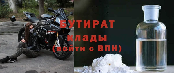 прущие грибы Балахна