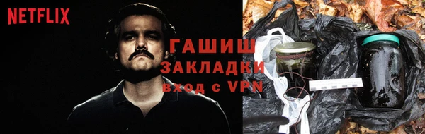 прущие грибы Балахна