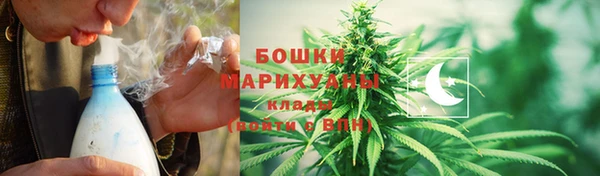 прущие грибы Балахна