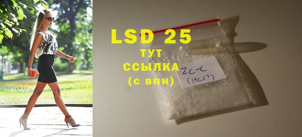 прущие грибы Балахна