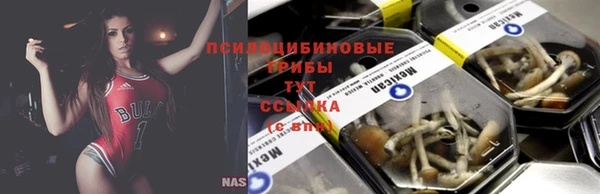 spice Баксан