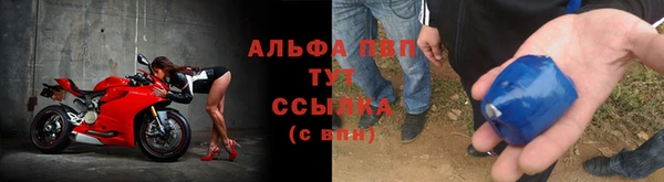 spice Баксан