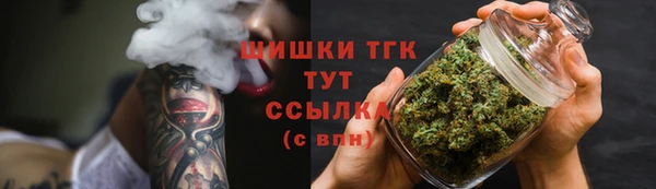 прущие грибы Балахна