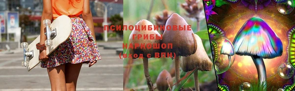 spice Баксан